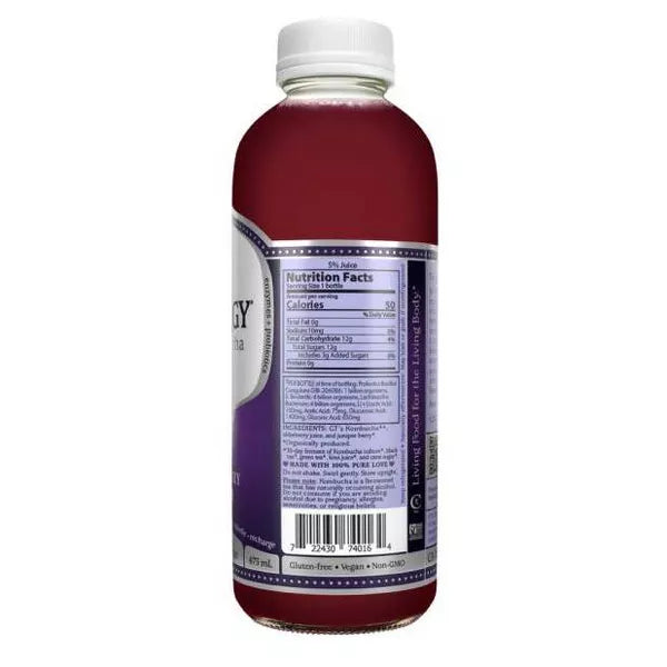 GT's Enlightened Synergy Elderberry Juniper Organic Raw Kombucha, 16 oz