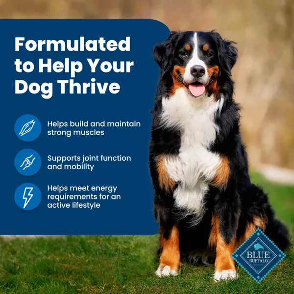 Blue Buffalo Life Protection Chicken and Brown Rice Natural Adult Dry Dog Food, 15 lbs