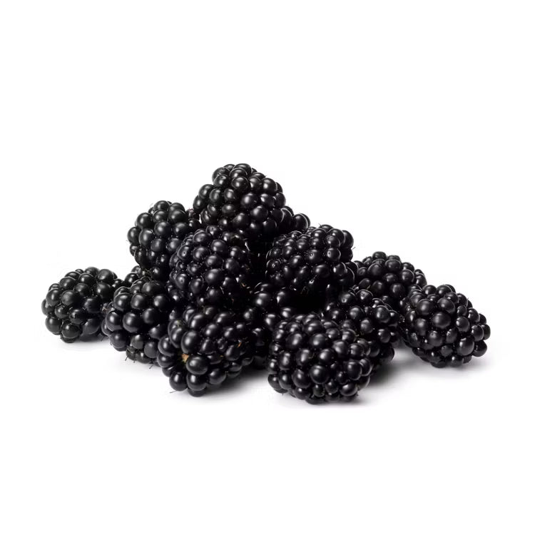 Organic Blackberries | 6 oz