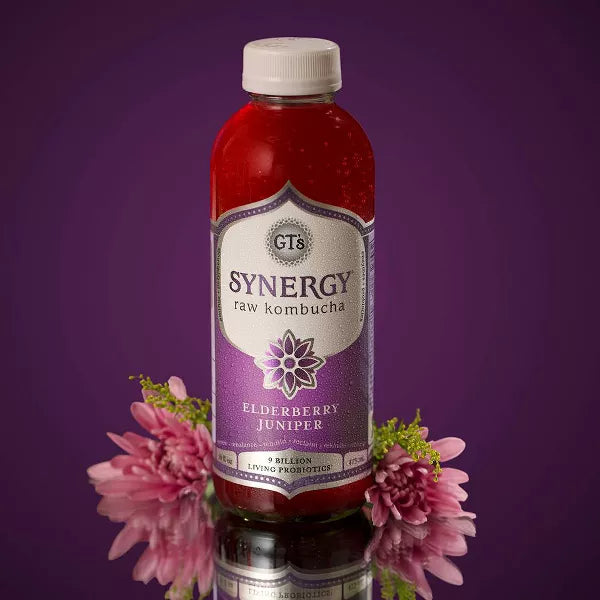 GT's Enlightened Synergy Elderberry Juniper Organic Raw Kombucha, 16 oz