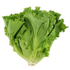 Organic Green Leaf Lettuce