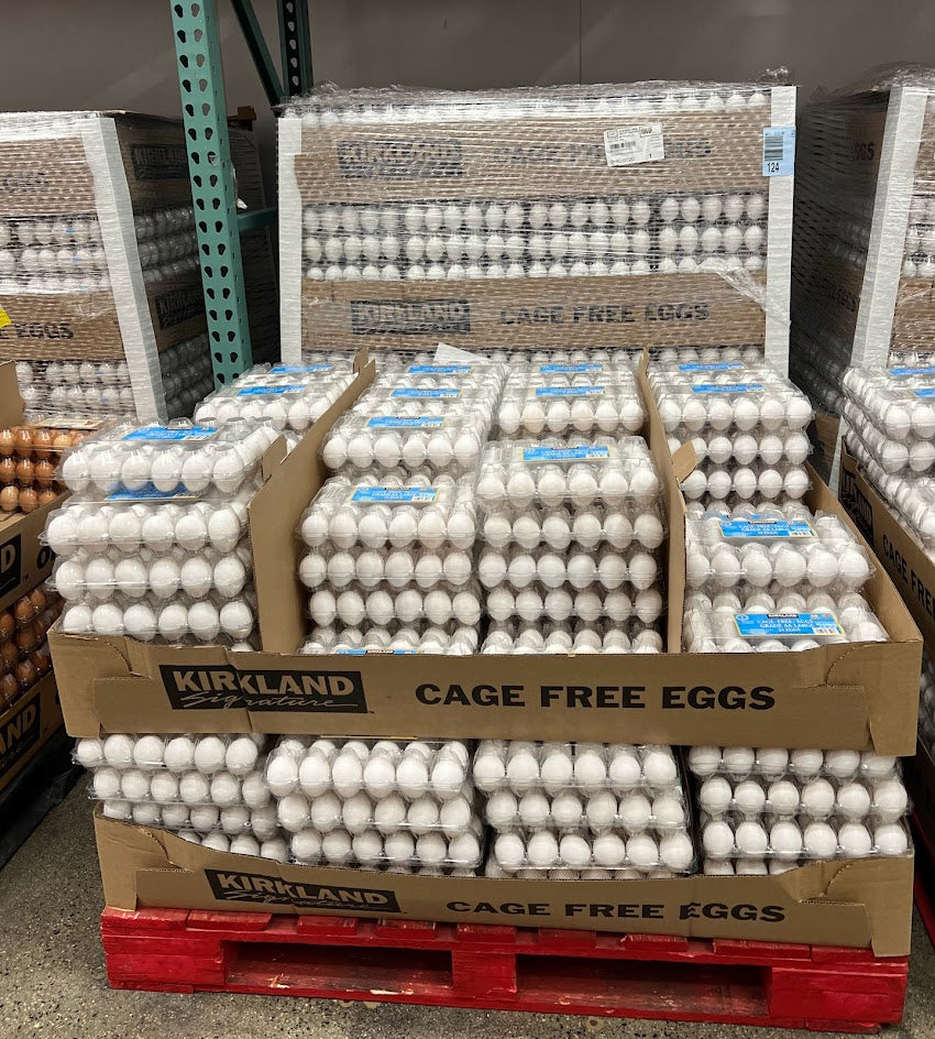 Kirkland Signature Cage Free Eggs, 24 ct