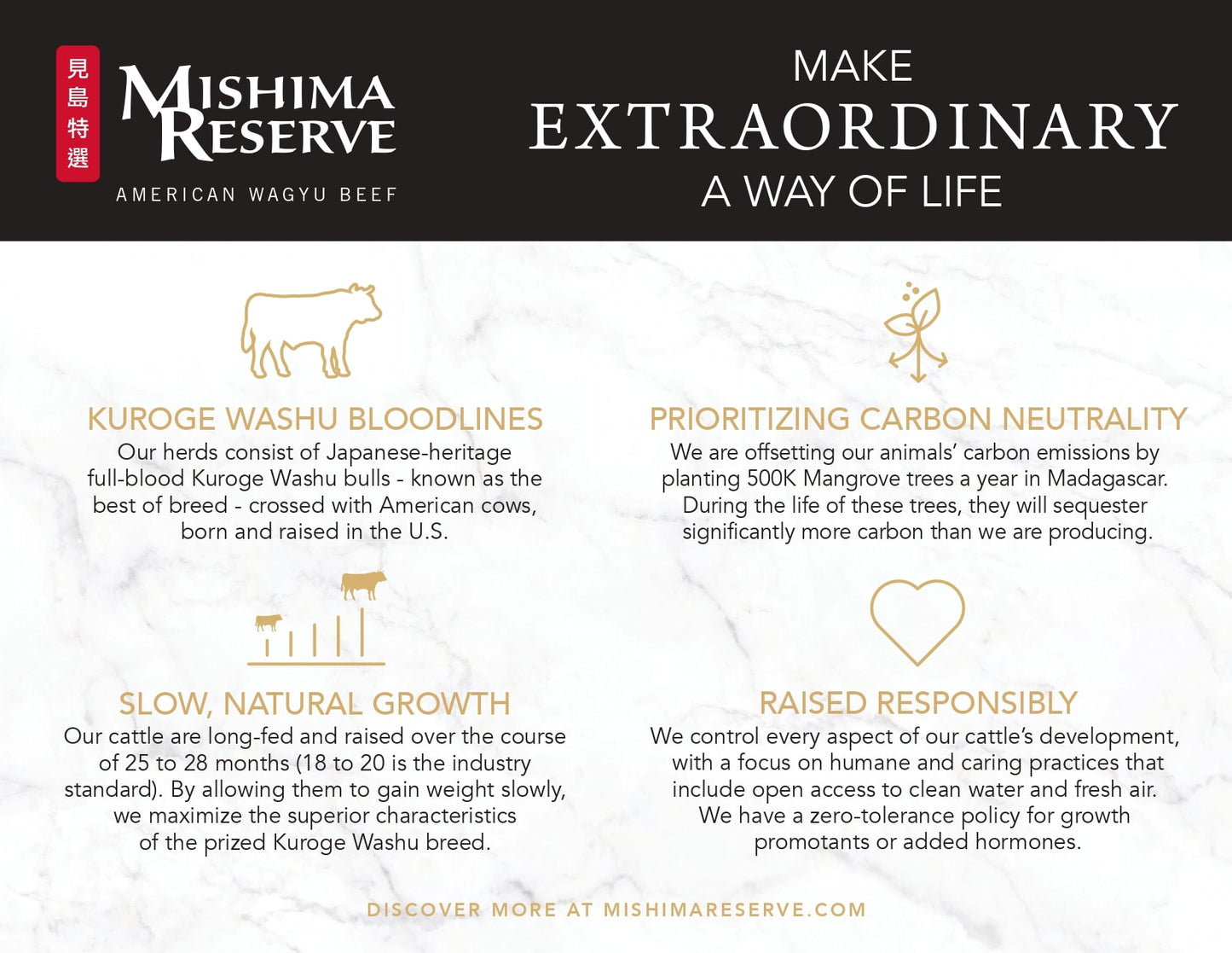 Mishima Reserve Wagyu New York Strip Steak
