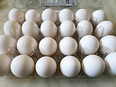 Veruca Medium White Cage Free Eggs. Grade A. 24 ct