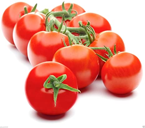 Campari Tomatoes, 1 lbs