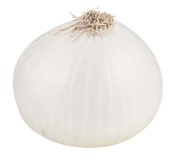 White Onion | 1