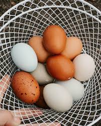 Farm Fresh Eggs - Dozen