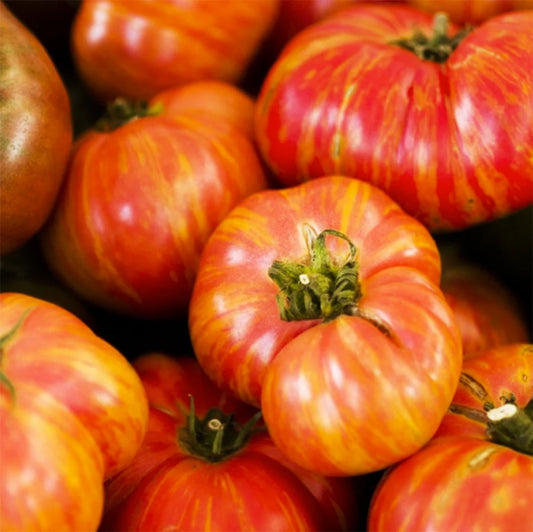 Organic Heirloom Tomatoes | 1