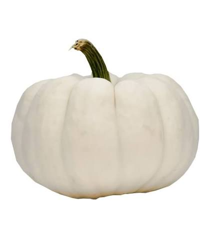 White Pumpkin