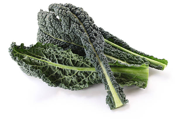 Dino Kale