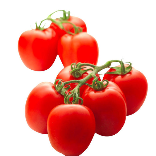 Roma Tomato Hothouse Grown, 3 lbs