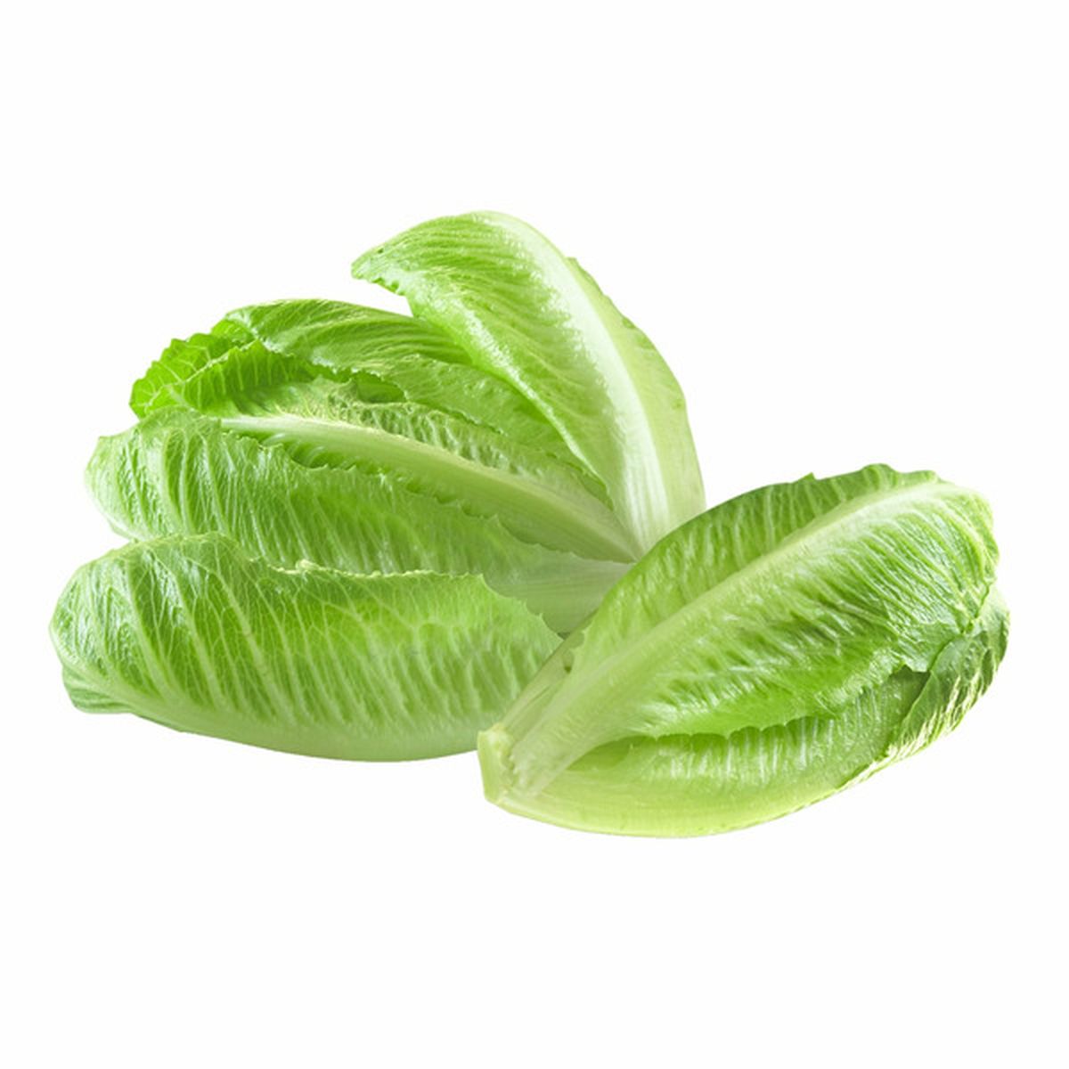 Romaine Hearts, 6-count