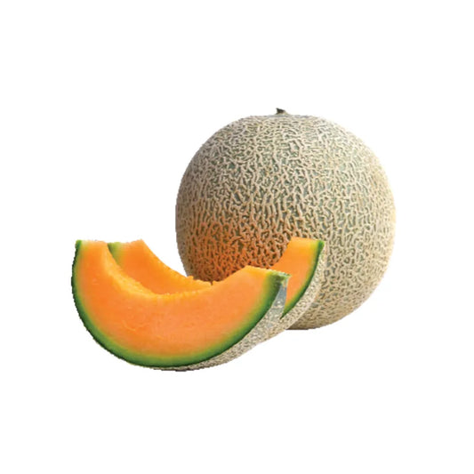 Cantaloupe