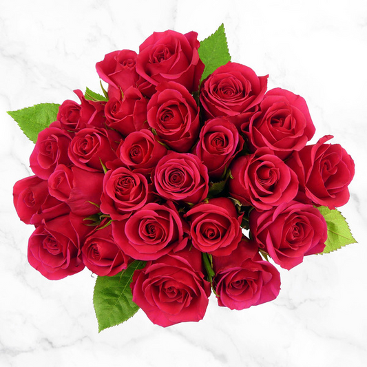 2 Dozen Premium Roses, Red