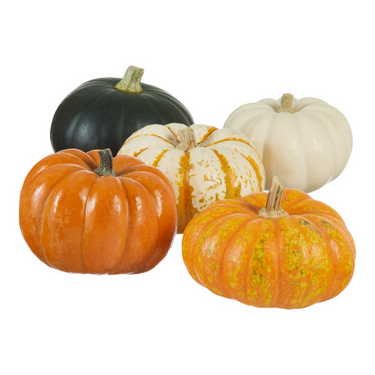 Mini Pumpkin Variety, 5-count