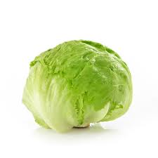 Iceberg Lettuce | 1