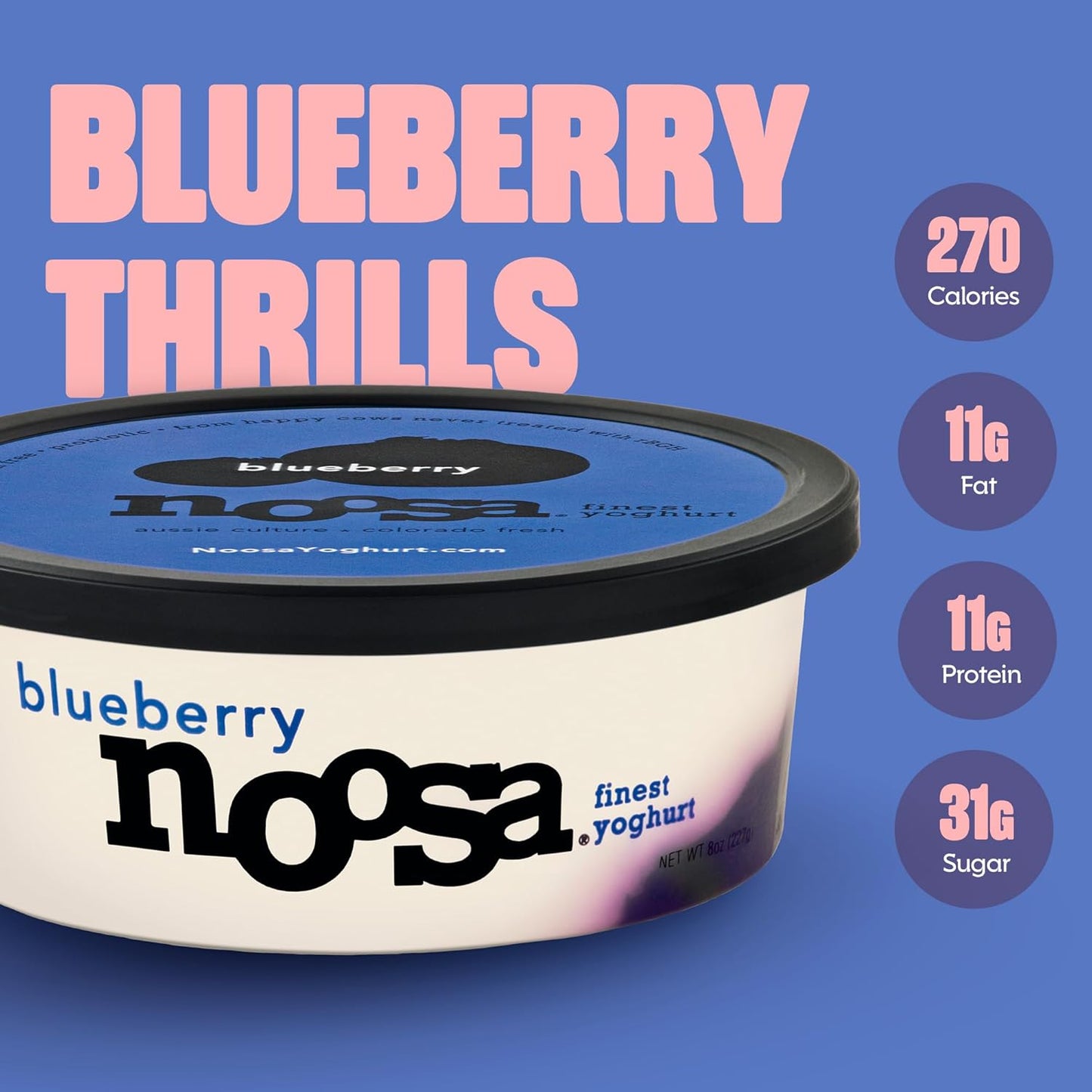 noosa Blueberry Yoghurt, 8 oz