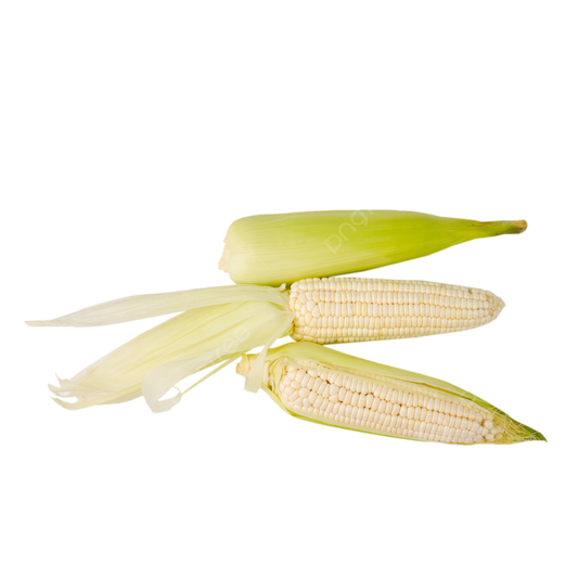 White Corn