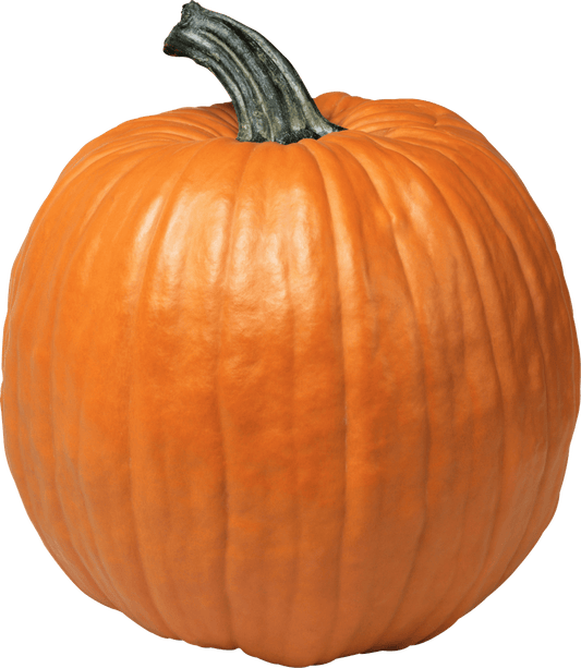 Large Carving Pumpkin (20- 25lbs ea)