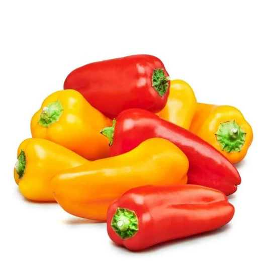 Sweet Peppers, Mini | 1lb