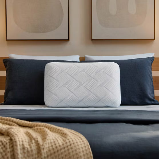 Serenity by Tempur-Pedic Frost Cooling Memory Foam Pillow